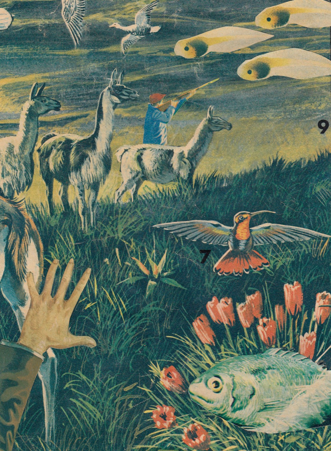 Beyond The Sphere Which Spreads To Widest Space